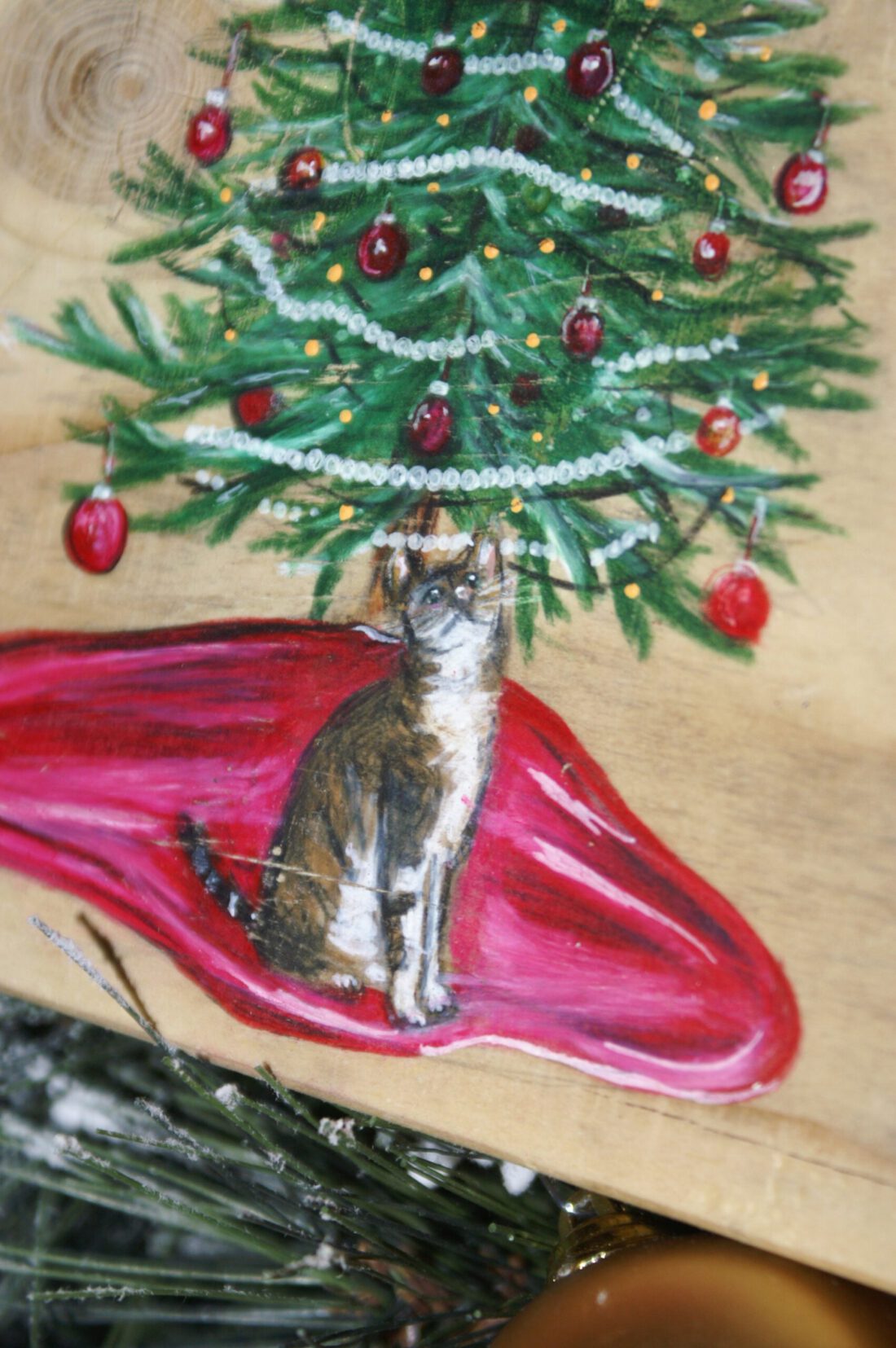 KONICA MINOLTA DIGITAL CAMERA